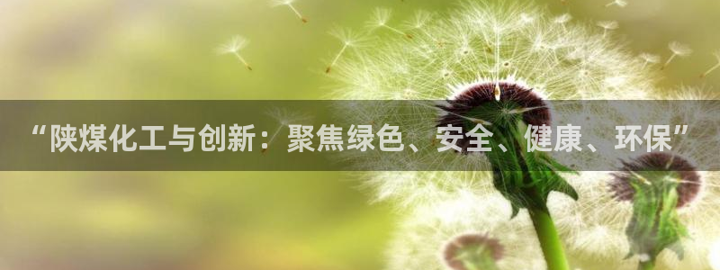 球盟会APP最新地址