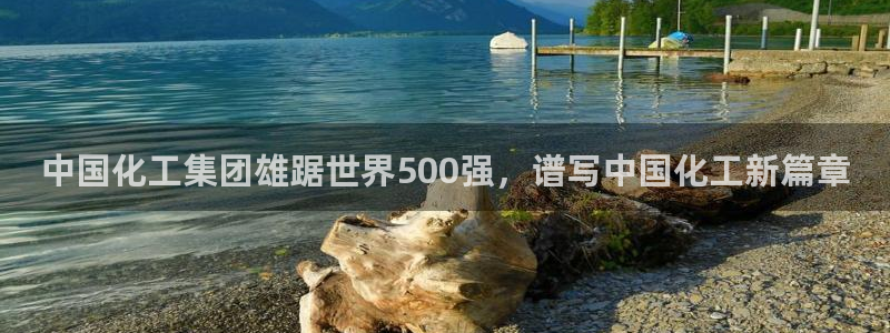 球盟会官方网站是什么