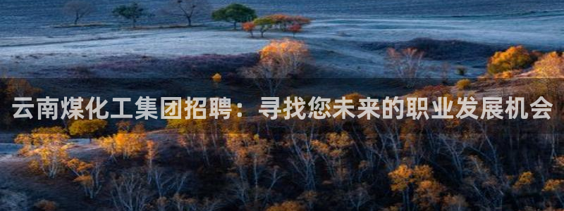 球盟会平台会黑单吗